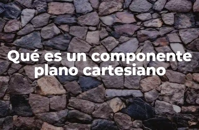 Qué es un Componente Plano Cartesiano