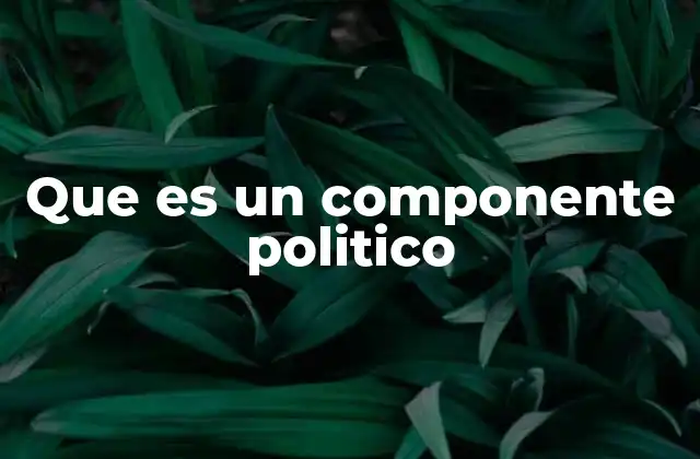 Que es un Componente Politico