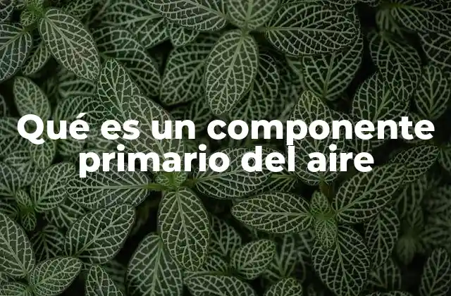 Qué es un Componente Primario Del Aire