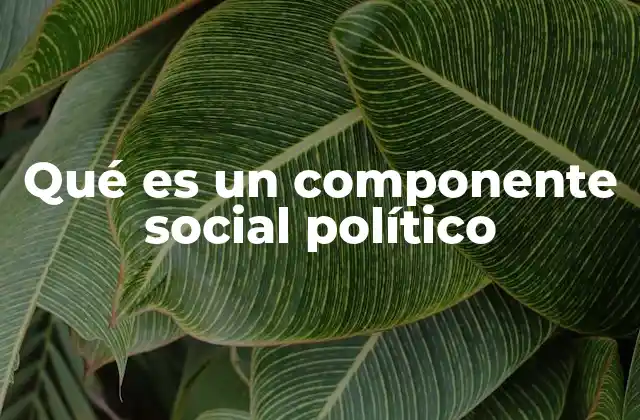 Qué es un Componente Social Político
