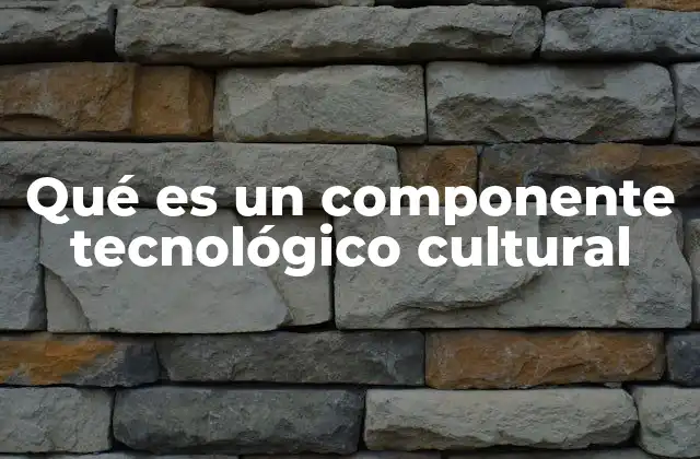 Qué es un Componente Tecnológico Cultural