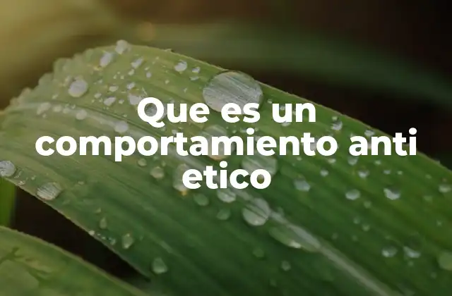 Que es un Comportamiento Anti Etico