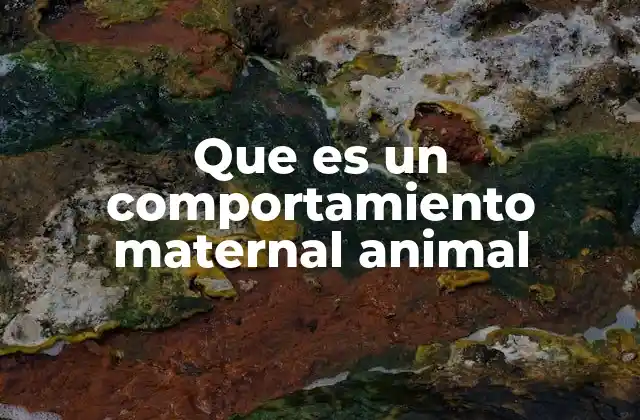Que es un Comportamiento Maternal Animal