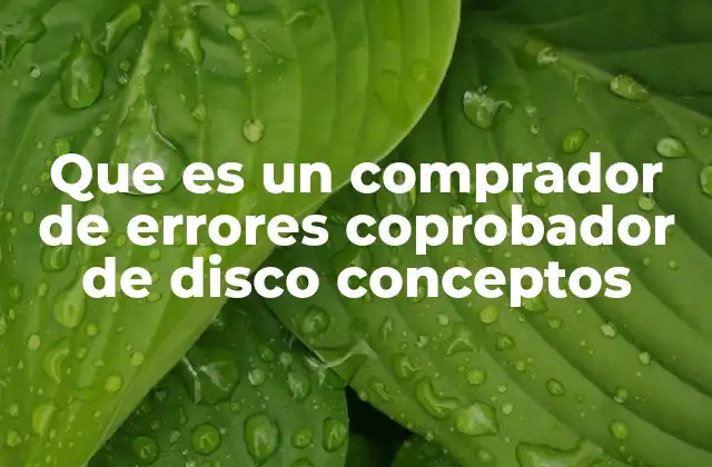 Que es un Comprador de Errores Coprobador de Disco Conceptos