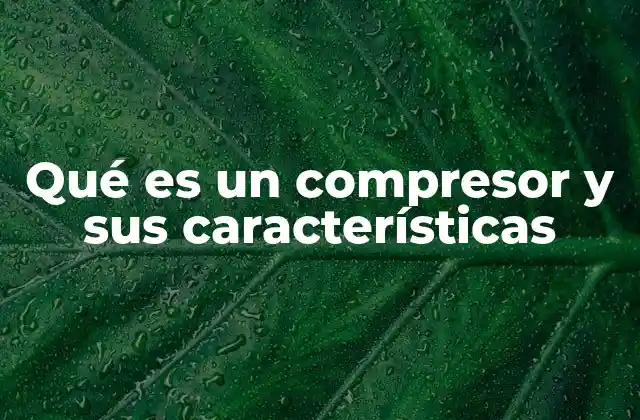 Qué es un Compresor y Sus Características