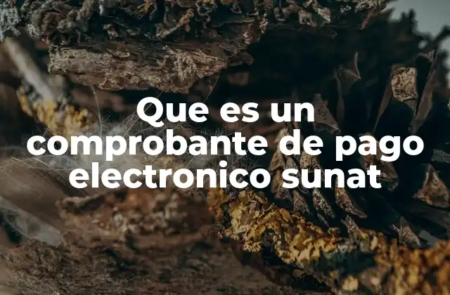 Que es un Comprobante de Pago Electronico Sunat