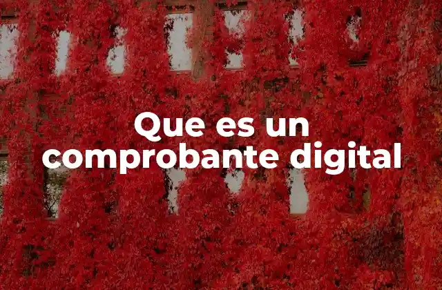 Que es un Comprobante Digital