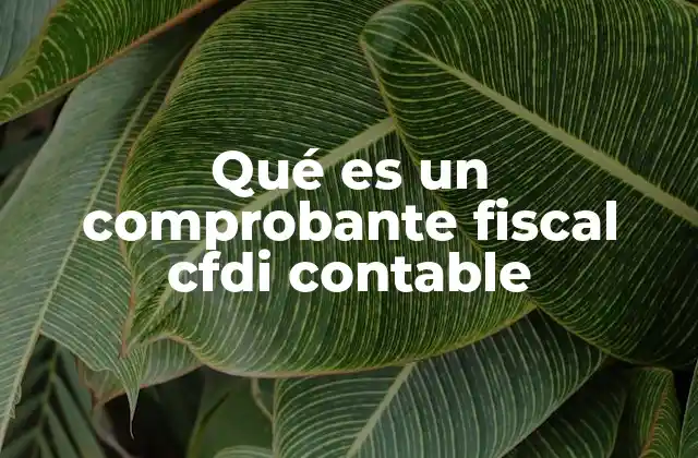 Qué es un Comprobante Fiscal Cfdi Contable