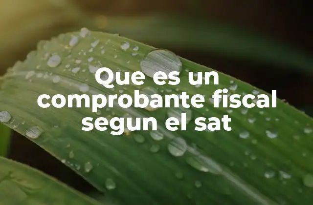 El papel del comprobante fiscal en el sistema tributario mexicano