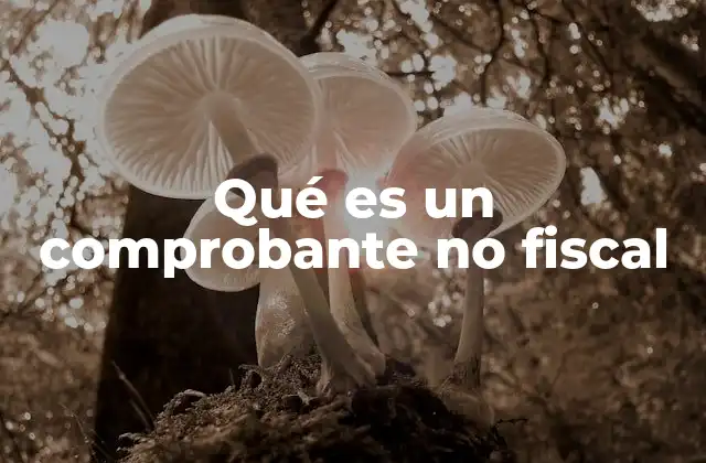 Qué es un Comprobante No Fiscal