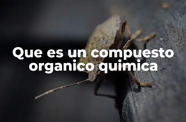 La base química de los compuestos que sustentan la vida