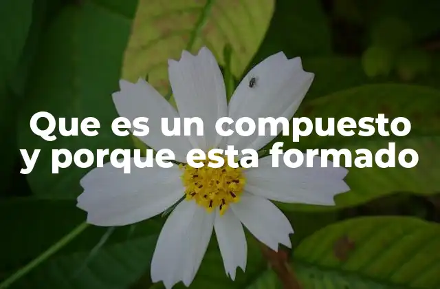 Que es un Compuesto y Porque Esta Formado