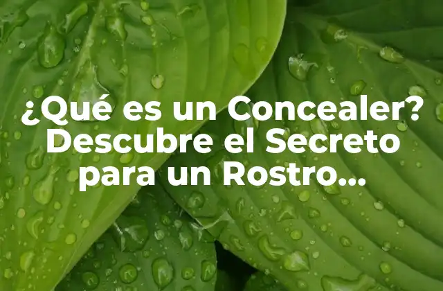 ¿qué es un Concealer? Descubre el Secreto para un Rostro Perfecto
