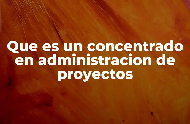 Que es un Concentrado en Administracion de Proyectos