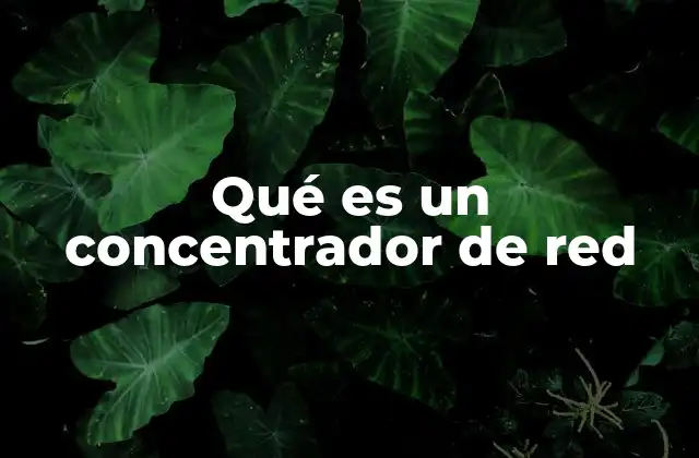 Qué es un Concentrador de Red