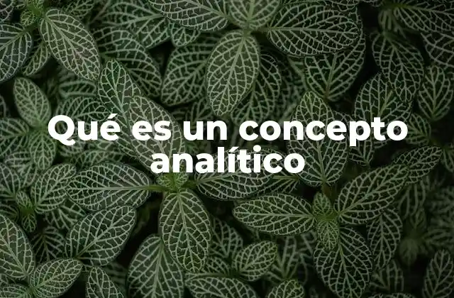 Qué es un Concepto Analítico