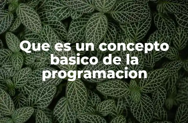 Cimientos del aprendizaje de programación