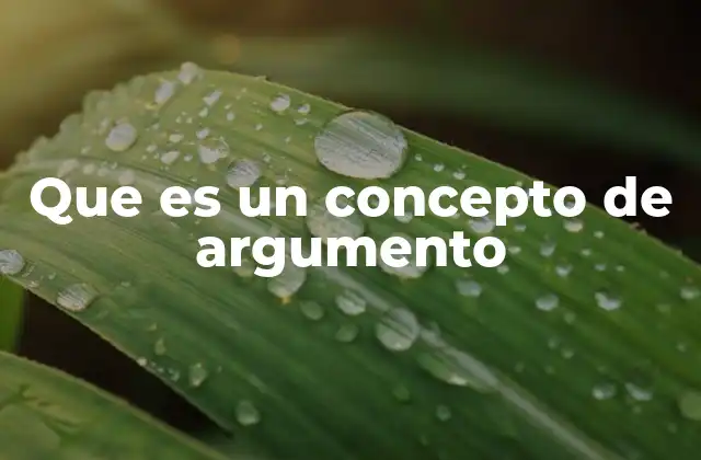 Que es un Concepto de Argumento