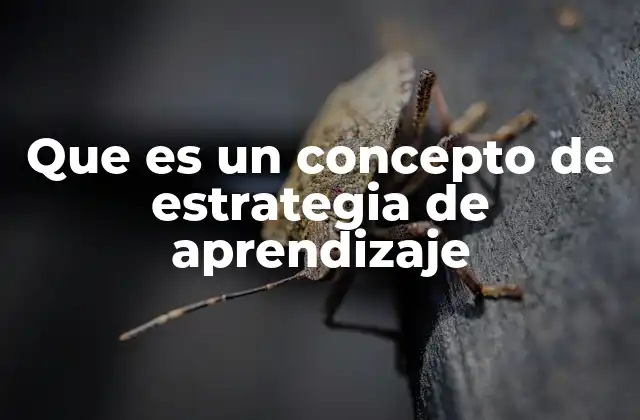 Que es un Concepto de Estrategia de Aprendizaje