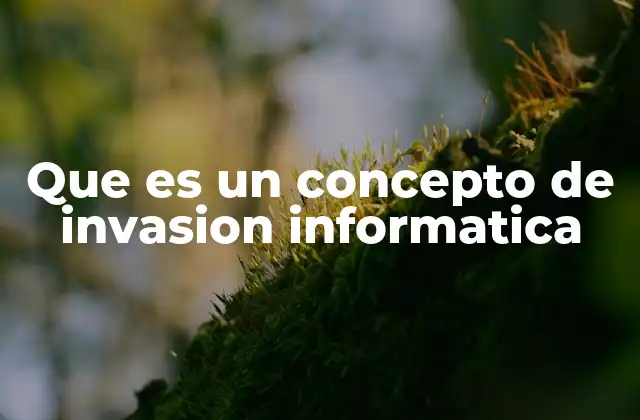 Que es un Concepto de Invasion Informatica