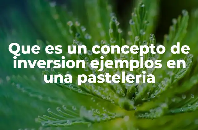 Que es un Concepto de Inversion Ejemplos en una Pasteleria