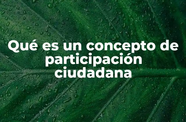 Qué es un Concepto de Participación Ciudadana