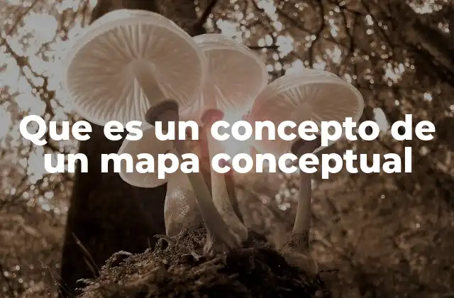 Que es un Concepto de un Mapa Conceptual