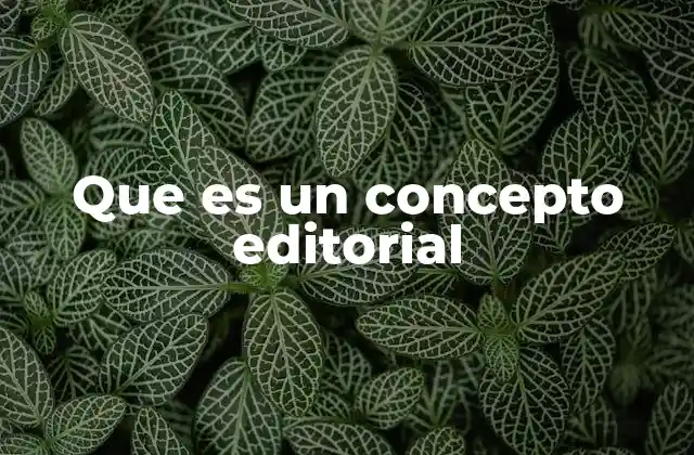 Que es un Concepto Editorial