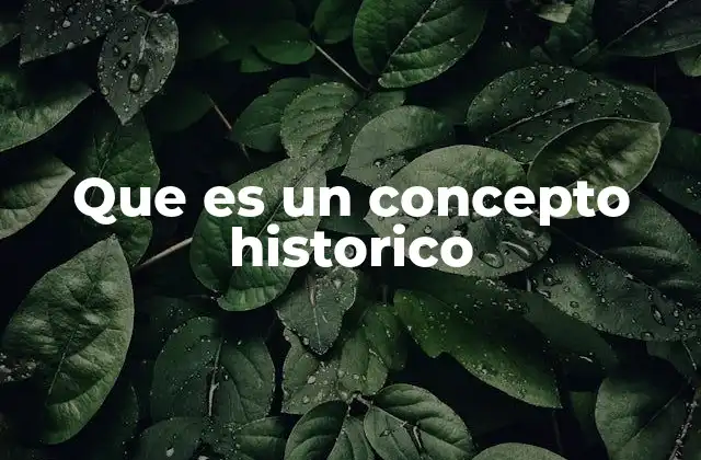 Que es un Concepto Historico