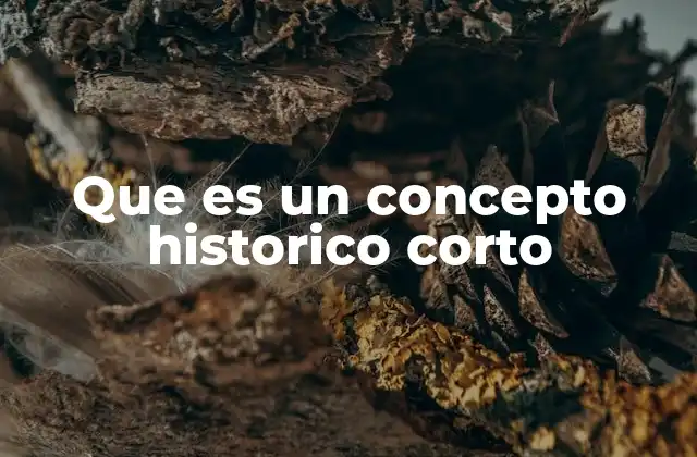 Que es un Concepto Historico Corto