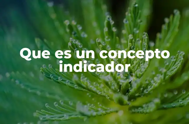 Que es un Concepto Indicador