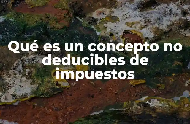 Qué es un Concepto No Deducibles de Impuestos