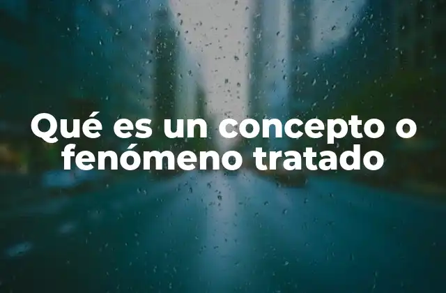 Qué es un Concepto o Fenómeno Tratado