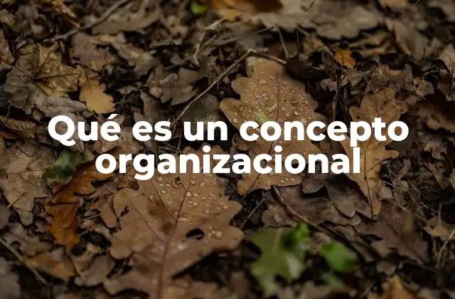 Qué es un Concepto Organizacional