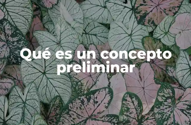 Qué es un Concepto Preliminar
