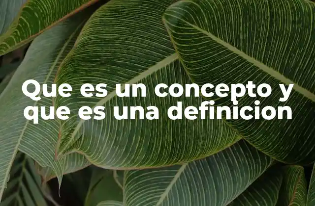 Que es un Concepto y que es una Definicion