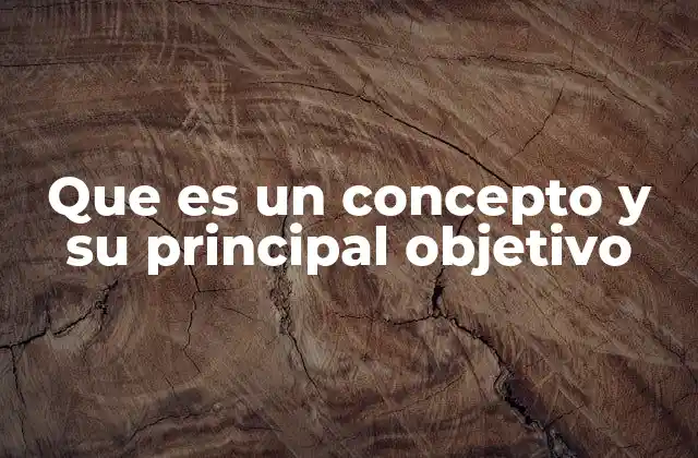 Que es un Concepto y Su Principal Objetivo