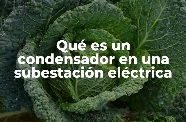 Qué es un Condensador en una Subestación Eléctrica 2 Funcionamiento de los condensadores en el contexto eléctrico
