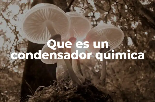 Que es un Condensador Quimica