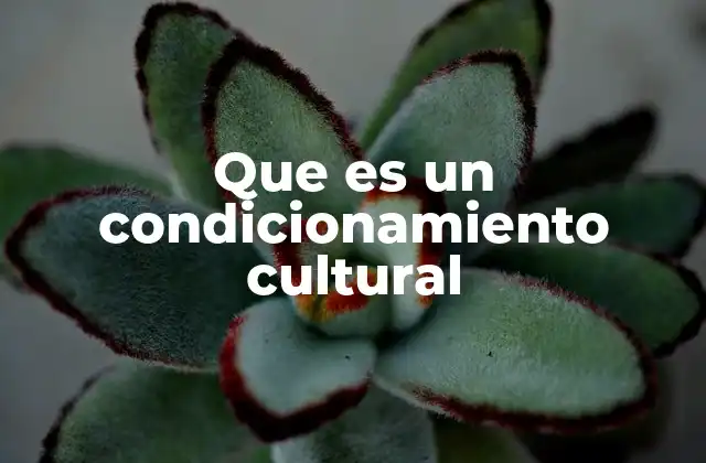 Que es un Condicionamiento Cultural