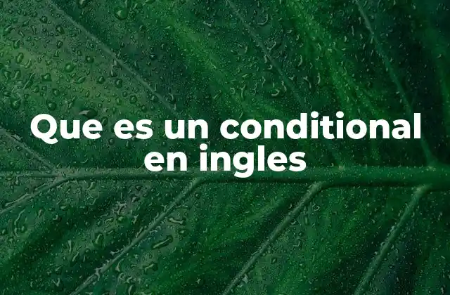 Que es un Conditional en Ingles