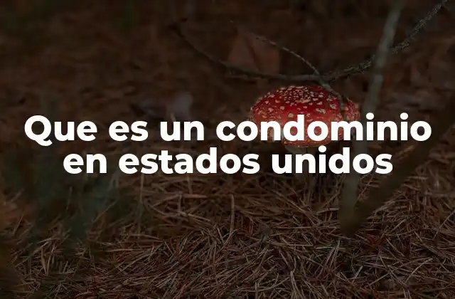 Que es un Condominio en Estados Unidos