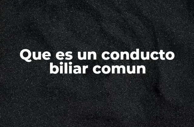 Que es un Conducto Biliar Comun