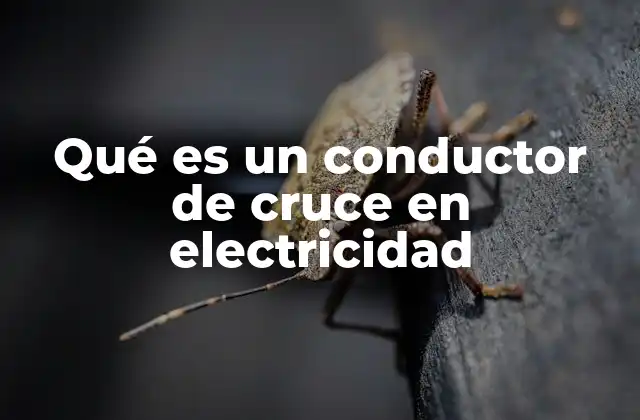 Qué es un Conductor de Cruce en Electricidad