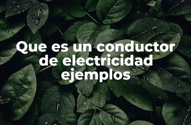 Que es un Conductor de Electricidad Ejemplos