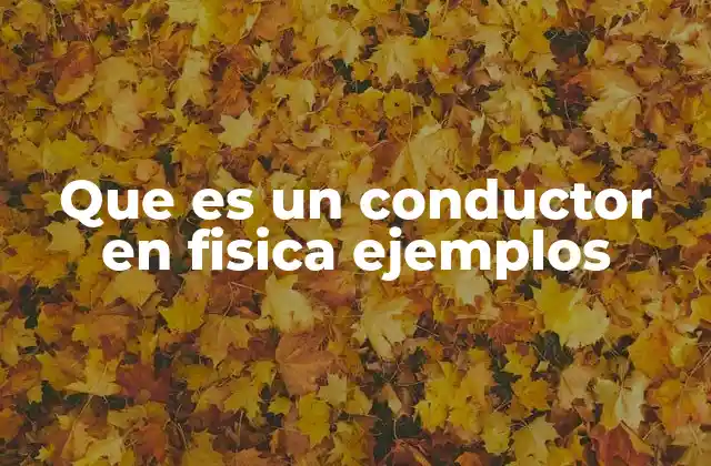 Que es un Conductor en Fisica Ejemplos