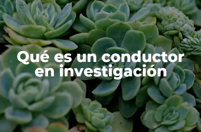 Qué es un Conductor en Investigación