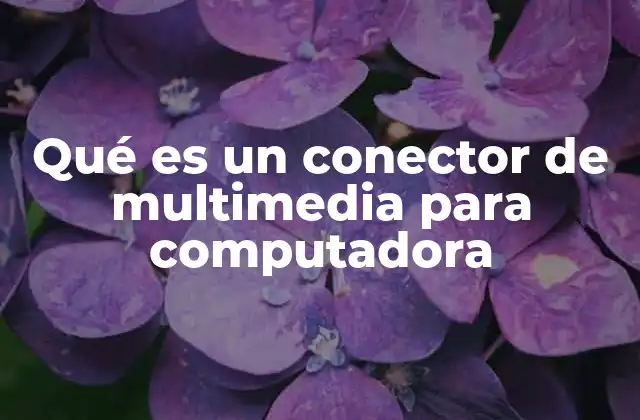 La importancia de los conectores en la experiencia multimedia