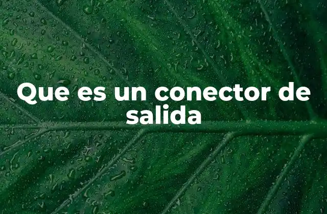 Componentes básicos de un conector de salida