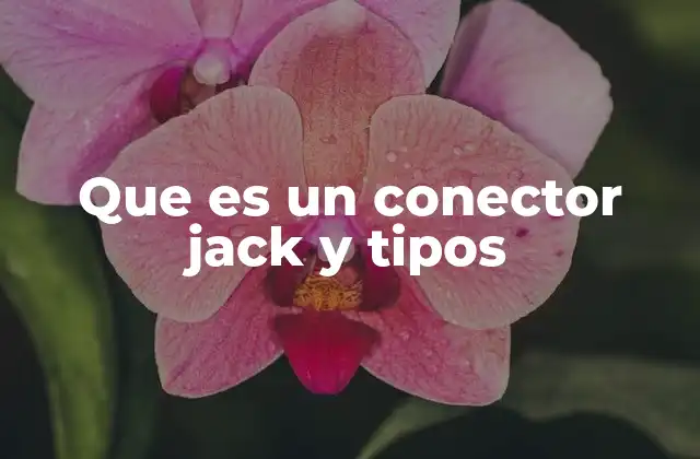 Que es un Conector Jack y Tipos 2 Características y funcionamiento del conector jack